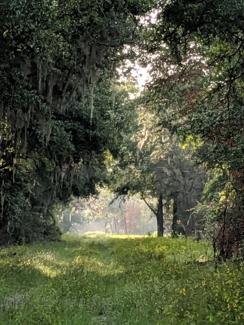 Seasonal Changes That Transform the Landscape