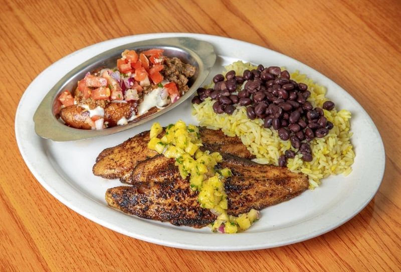 Virgin Island Thyme (Orlando)