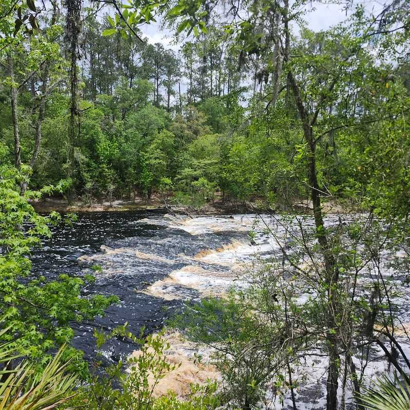 Big Shoals State Park (White Springs)