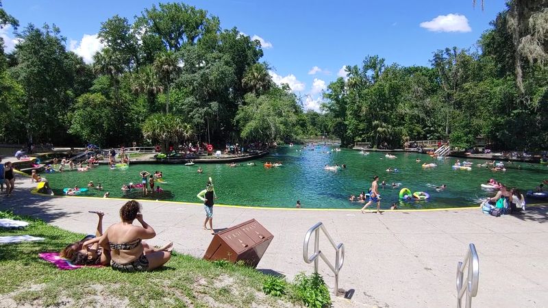 Picnicking and Family-Friendly Facilities