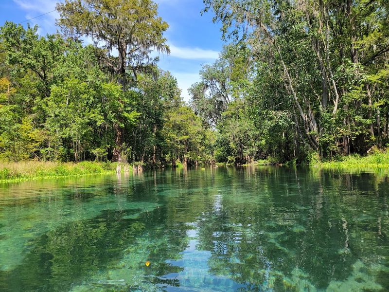 Trestle Point and Pine Ridge Trails at Ichetucknee Springs State Park