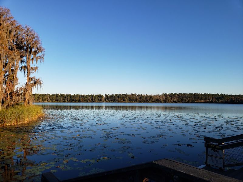 Dixie Lake at Lake Louisa State Park (Clermont)