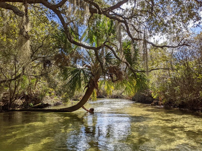 Abundant Wildlife Including Alligators and Otters