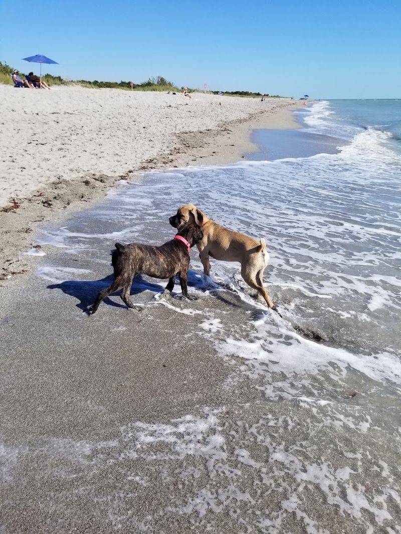 Brohard Paw Park (Venice)