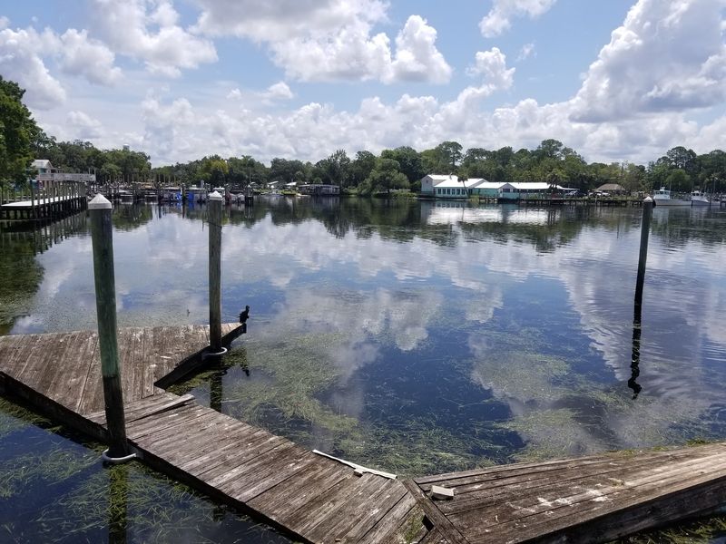 Crystal River