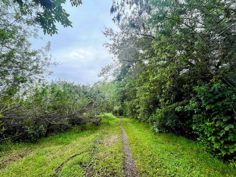 Biking Trails That Offer a Peaceful Ride