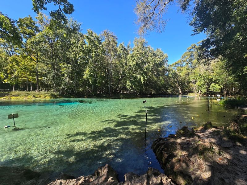 Gilchrist Blue Springs State Park