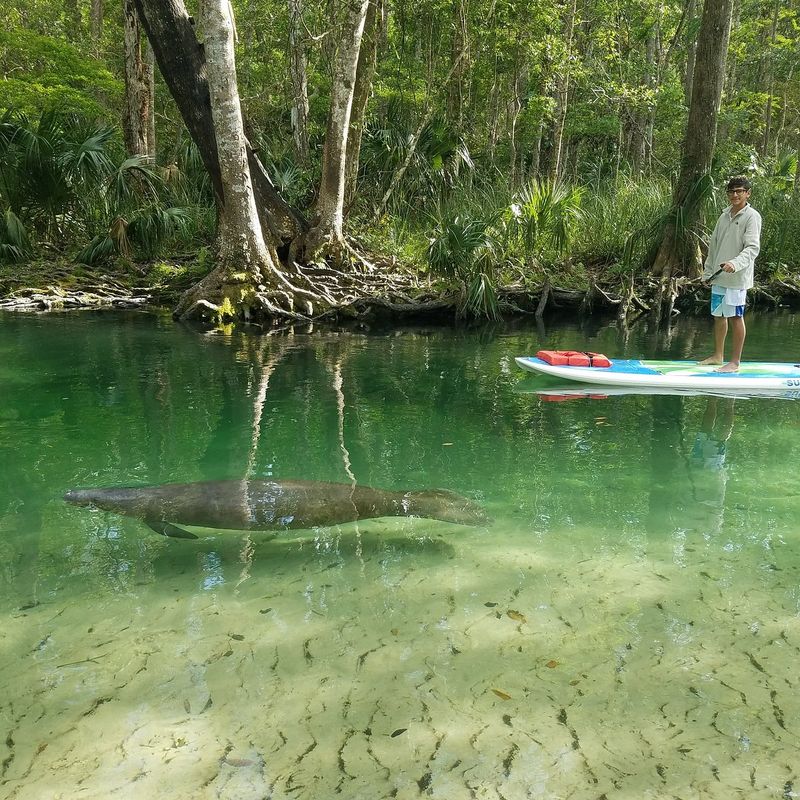 Year-Round Paddling Without the Seasonal Hassle