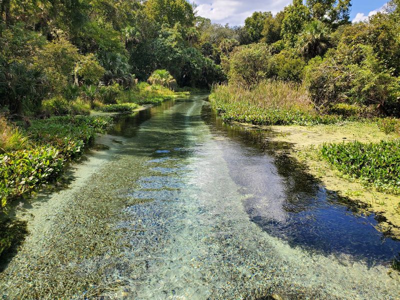 Kelly Park - Rock Springs (Apopka)