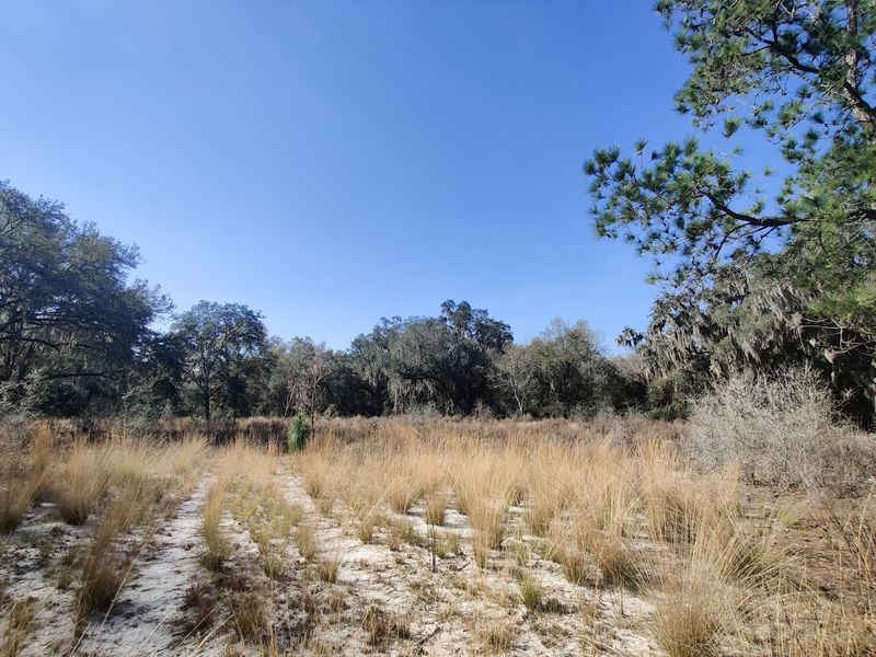 Gainesville Rail-Trails (Gainesville)