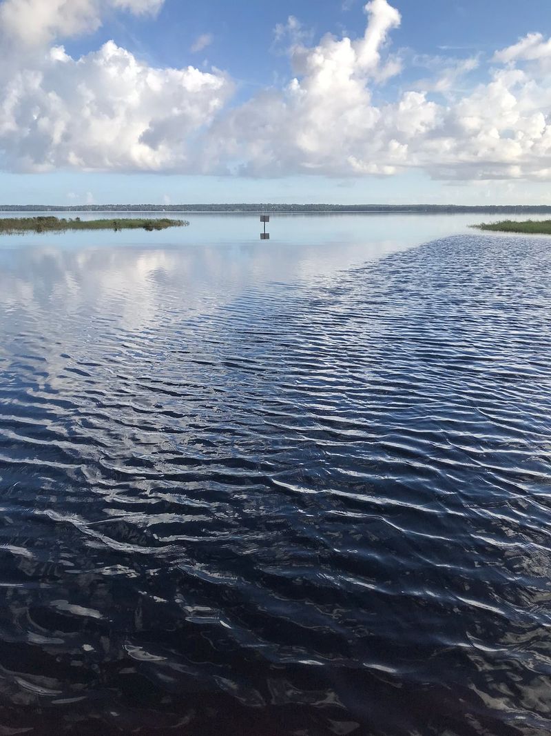 Dixie Lake at Lake Louisa State Park (Clermont)