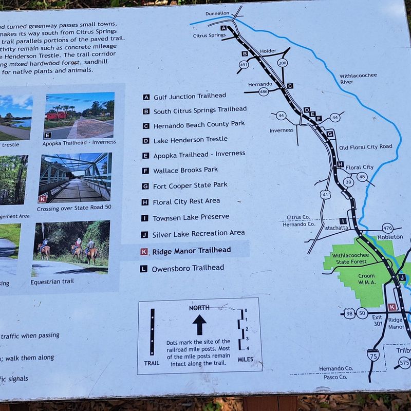 Safe, Car-Free Path for Families and Beginners