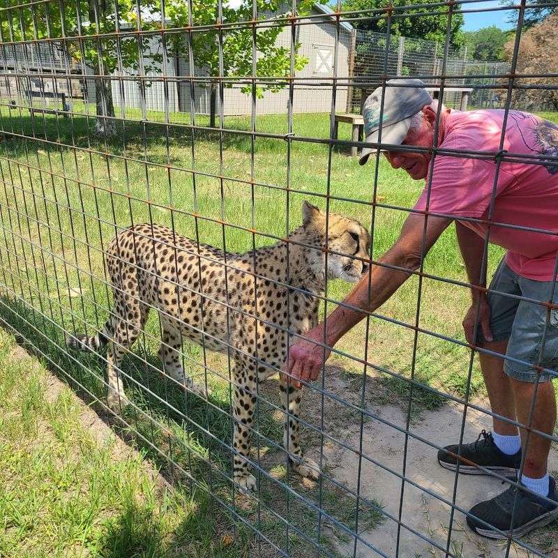 Carson Springs Wildlife Conservation Foundation (Gainesville)