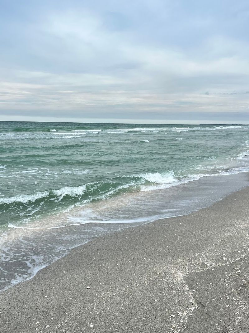 Shell Etiquette and Conservation Rules