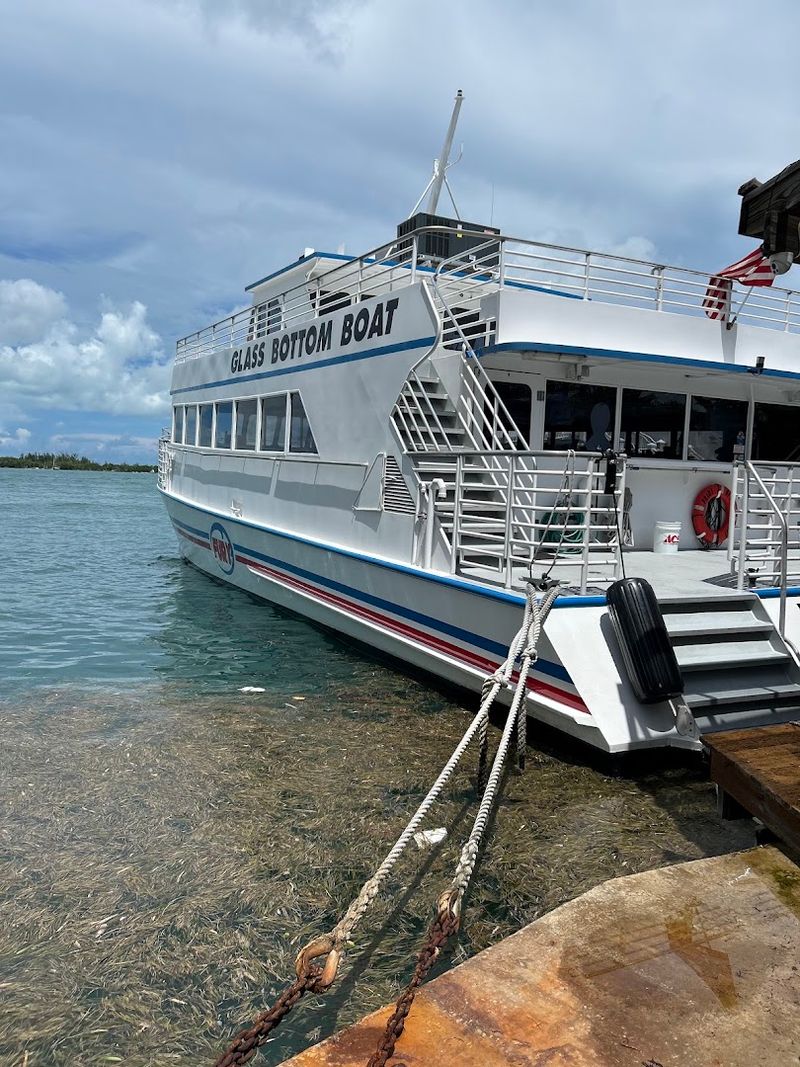 Fury Dolphin Watch and Snorkel Adventure