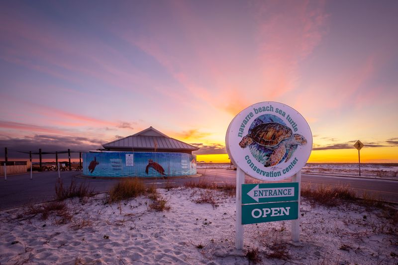 Navarre Beach Sea Turtle Conservation Center - Navarre, FL