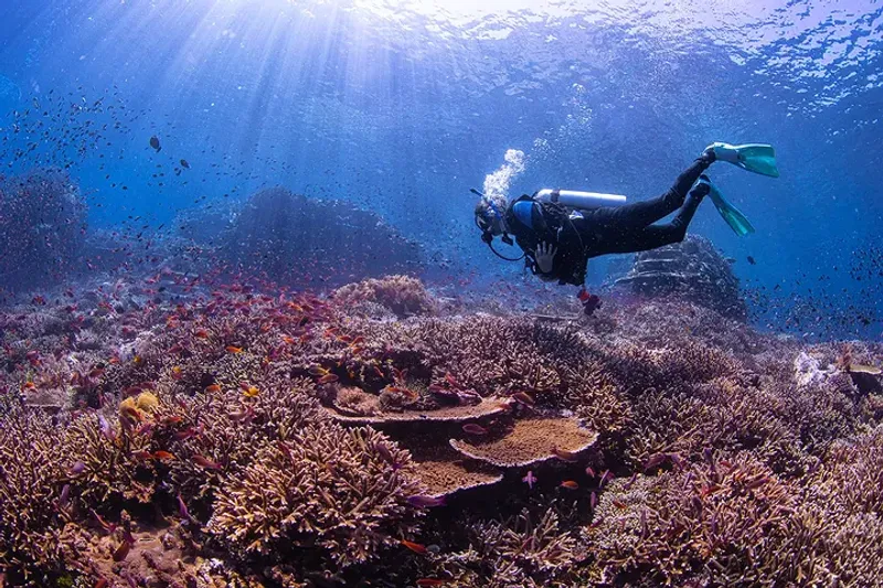 Charter Operations and Dive Services