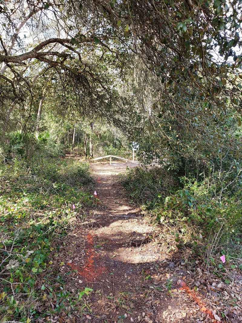 South Lake Trail / Lake Minneola Scenic Trail (Groveland to Winter Garden)