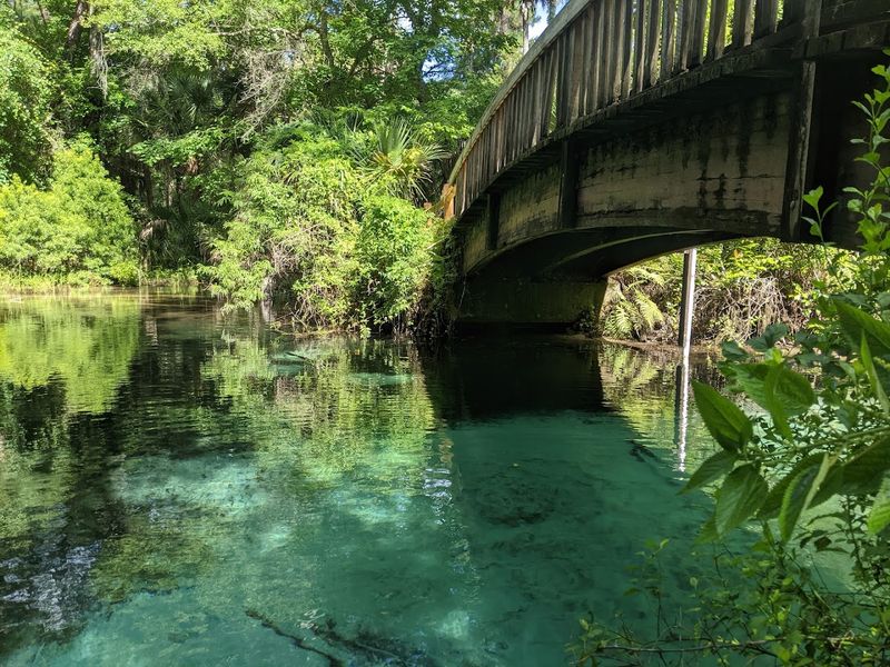 Ocala National Forest (Juniper Springs)
