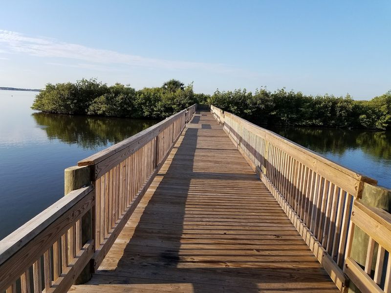 Take a wildlife refuge trip (Sanibel, Merritt Island, or Big Cypress)
