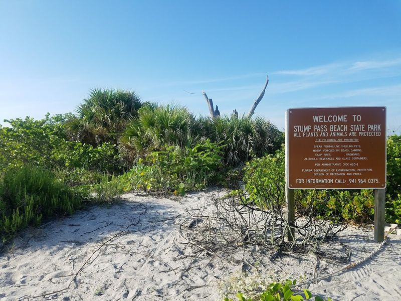 What to Bring for a Successful Shark Tooth Hunt