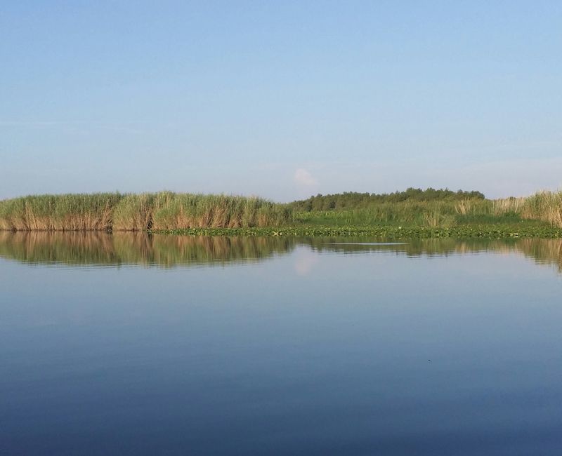 Lake Jesup (Seminole County)