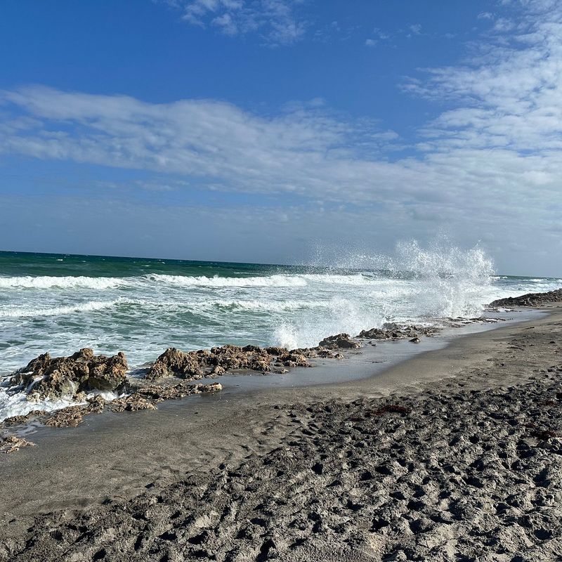 Jonathan Dickinson State Park (Hobe Sound)