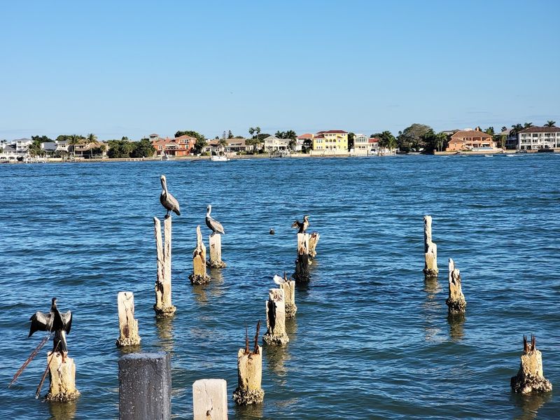 Pass-a-Grille Beach (St. Pete)