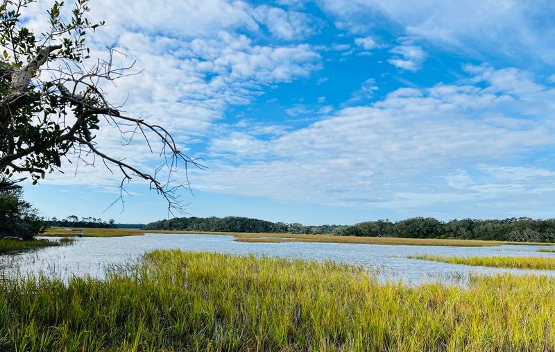 Dune Ridge Trail at Little Talbot Island State Park