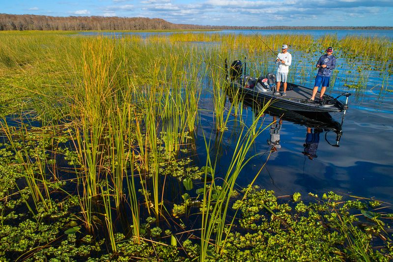 Trophy Bass Fishing On The Kissimmee River
