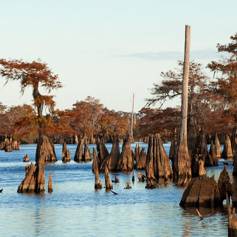 Fishing the Dead Lakes