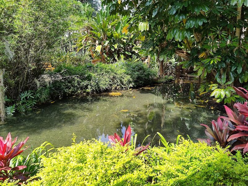 Washington Oaks Gardens State Park (Palm Coast)