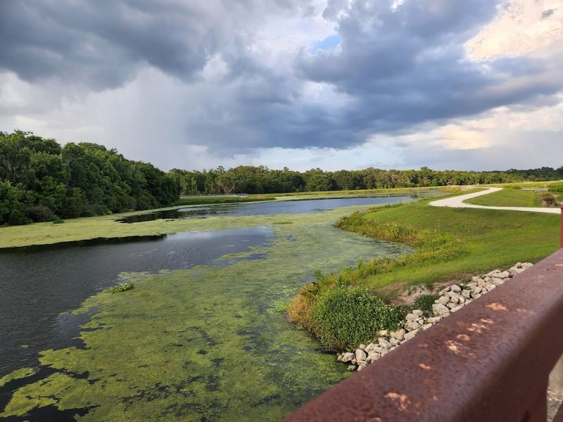 Sweetwater Wetlands Trail (Gainesville)