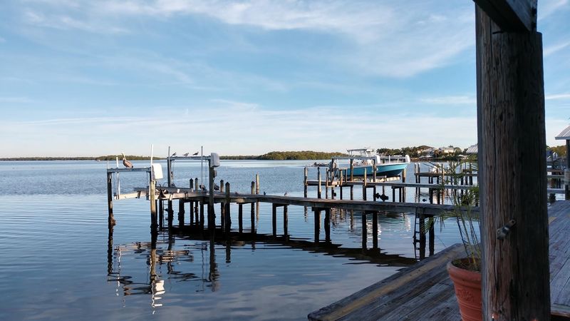 The Baitfish Buffet and Casting Opportunities