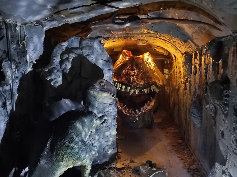 Discover a Massive Alligator Living on the Premises