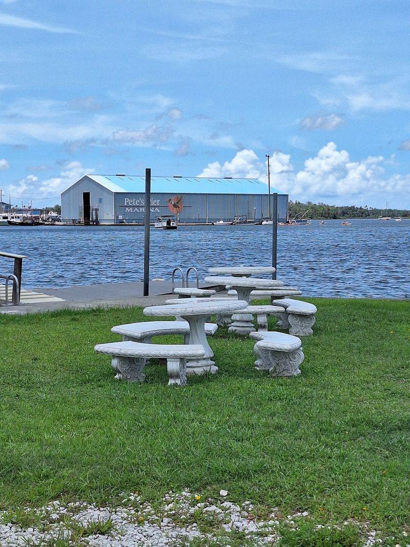 Waterfront Seating Where Wildlife Steals the Show