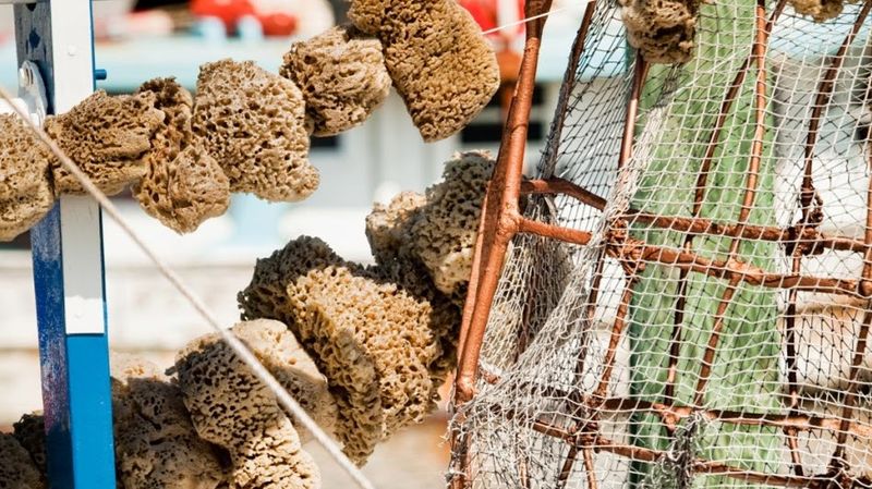 The Sponge Docks (Tarpon Springs)