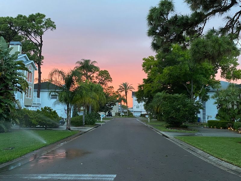 Palm Harbor