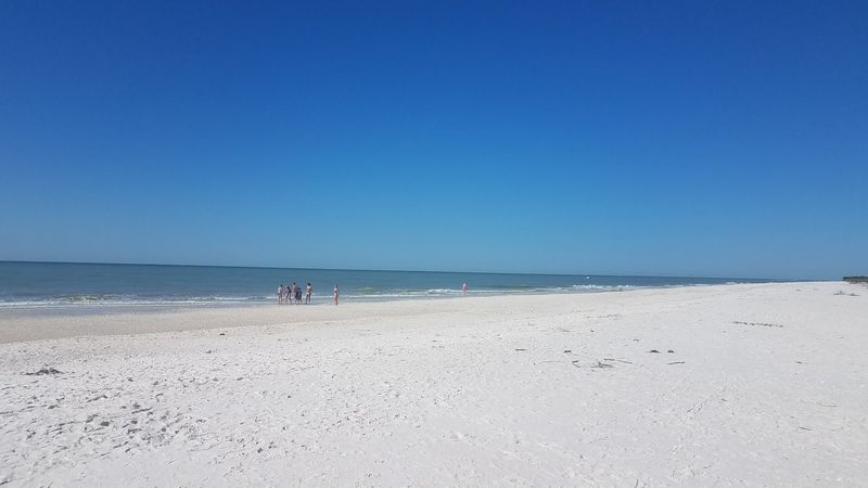 Shell Hunting Heaven: Finding Treasure Along the Shoreline