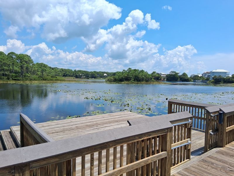 Stinky's Fish Camp (Santa Rosa Beach)