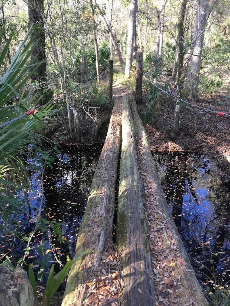 Crossing Boardwalks and Wetland Bridges