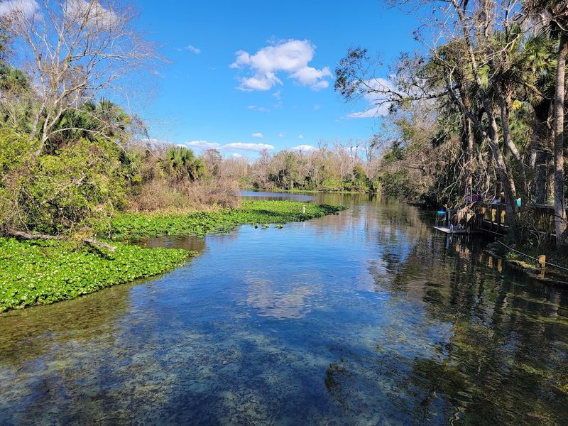 Wekiwa Springs State Park (Apopka)