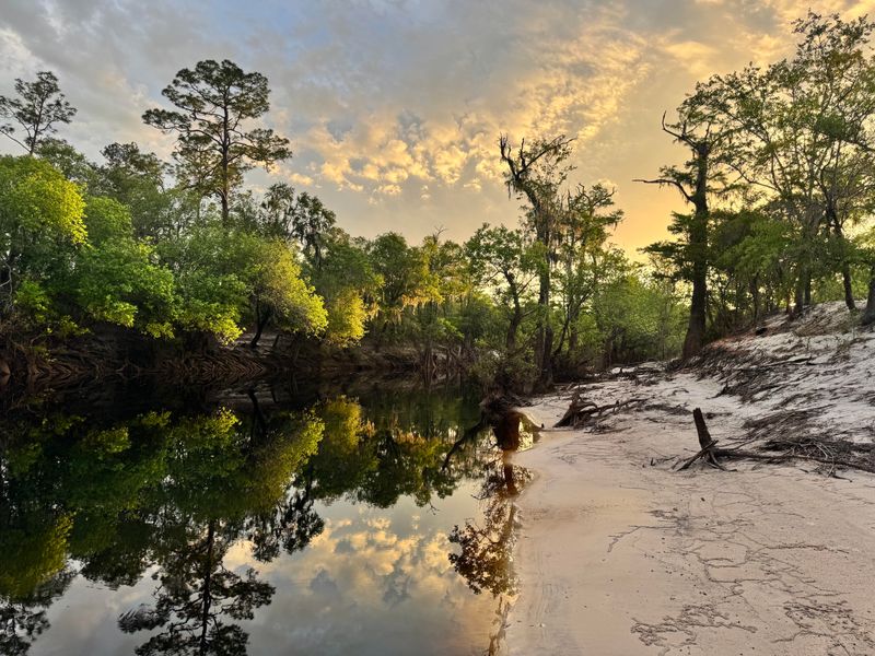 Lafayette Blue Springs State Park (Mayo)