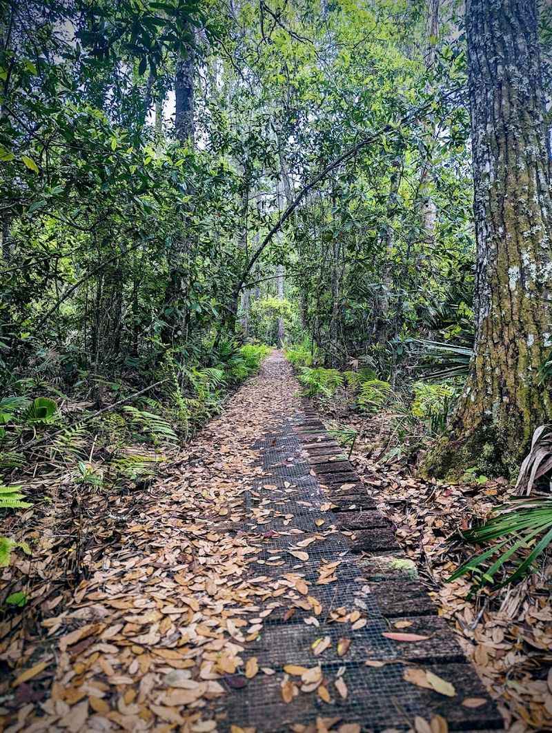Navigating the Well-Marked Wilderness Path
