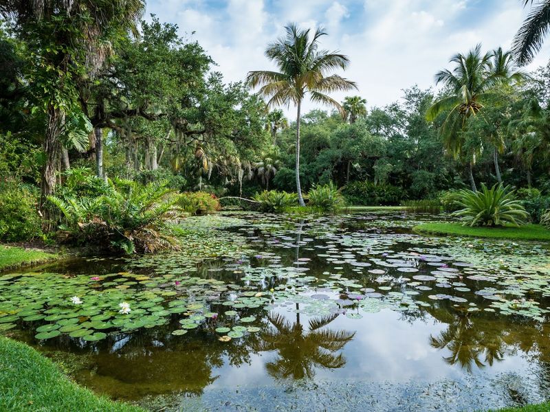 McKee Botanical Garden's Tropical Paradise