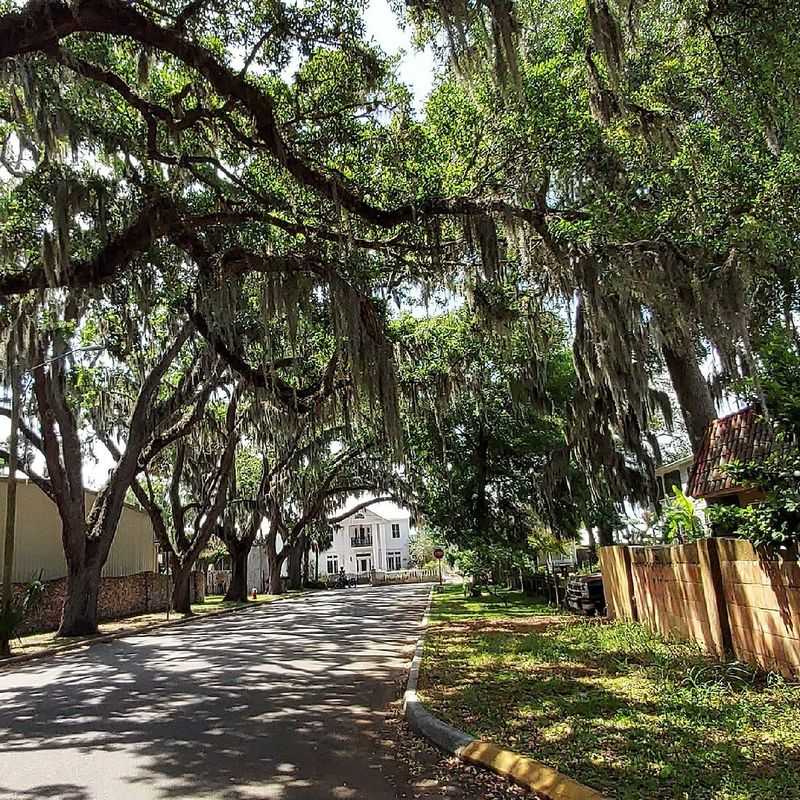 Historic Homes That Define Southern Architecture