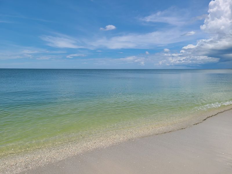Manatees And Dolphins Visit Daily