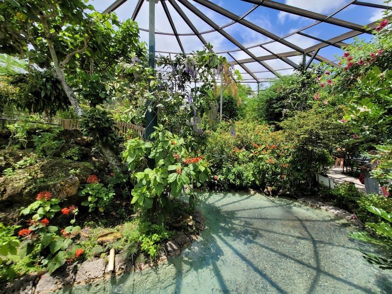 Butterfly World (Coconut Creek)