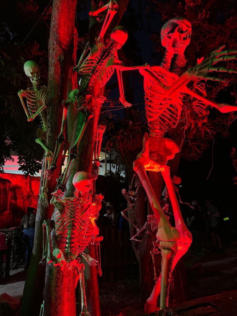 Circus of Terror That Flips Traditional Entertainment Upside Down