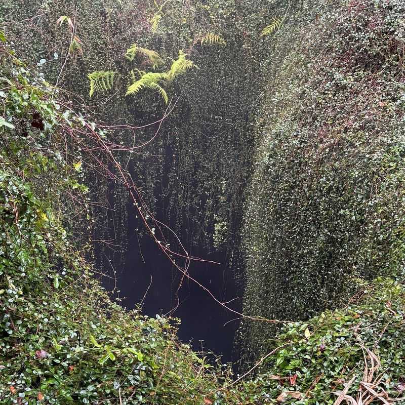 Devil’s Den Prehistoric Spring (Williston)